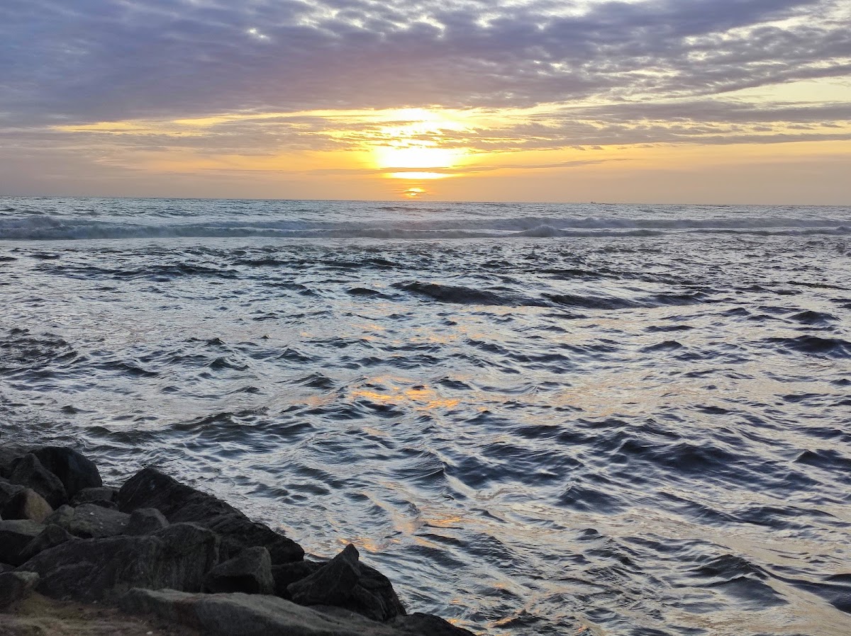 Wellawatte beach